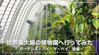 世界最大級の植物園「ガーデンズ・バイ・ザ・ベイ」のクラウドフォレストを観察してきた [upl. by Emanuel]