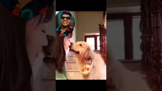 Epic Dog kissing trend📈 fails 😁 animalbabies dog doglover sigma [upl. by Wj853]