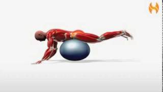 Exercise Videos Ball Reverse Hip Extension [upl. by Esserac]