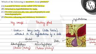 Which of the following is incorrect about pituitary 1 Located in bony cavity called sella tur [upl. by Ienttirb]