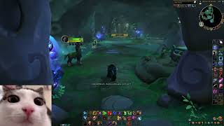 How to get Boon of Ashamane  World of Warcraft Dragonflight  Emerald Dream Guide [upl. by Solange885]