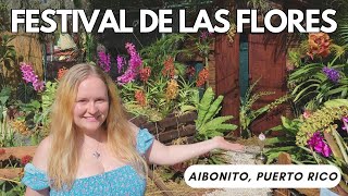 Festival de las flores en Puerto Rico  Amazing Flower Festival in Aibonito Puerto Rico [upl. by Nimajeb]