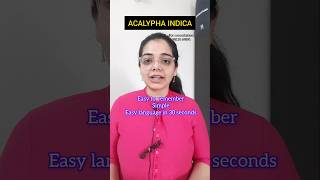 Acalypha indica homoeopathy medicine bhmsnotes materiamedica cough dryness childrencaretips [upl. by Uriah]