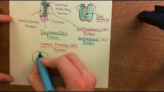 Schizophrenia and Antipsychotic Drugs Part 3 [upl. by Cad808]