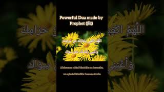 Powerful dua made by prophet to get Allahs help muftimenk dua allahswt rizq ruqyah viralreels [upl. by Shippee]