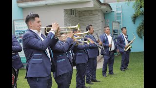 El Son del Tlacololero  Banda la Piedad [upl. by Wandy]