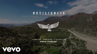 Pedro Mo  Resiliencia Video Lyrics [upl. by Chin]