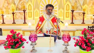 Holy Mass February 29 Thursday I 530 AM I Malayalam I Syro Malabar I Fr Bineesh Augustine [upl. by Emmalynne]