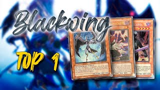 TOP 1 Formato Edison Montevideo  Blackwing DECK PROFILE Setiembre 2024 [upl. by Pauly]