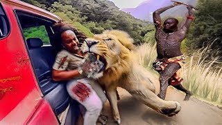 20 Times African Safari Trips Went Horribly Wrong [upl. by Trude]