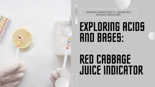 Natural Indicators  Red Cabbage Juice pH Scale in Grade 10 Science [upl. by Naihtniroc]