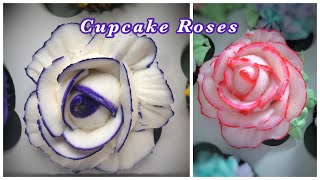 Buttercream rose cupcake tutorial with a color stripe [upl. by Kries789]