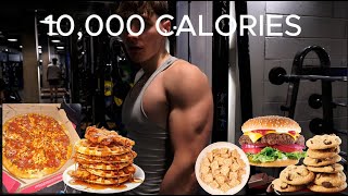 10000 CALORIE CHALLENGE bad idea [upl. by Naraj]