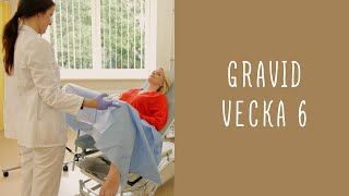 Gravid vecka 6 [upl. by Pepito]