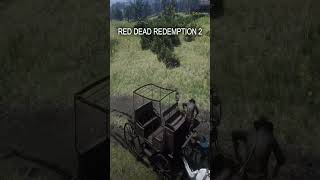 Red Dead Redemption 2 cheats [upl. by Ybbor]