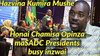 Honai Chamisa Opinza maSADC Presidents busy inzwai [upl. by Nadoj]