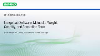 Image Lab Software Molecular Weight Quantity and Annotation Tools [upl. by Yonatan176]