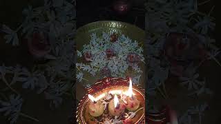 KARTHIKA SOMAVARA DHATRI DEEPAM [upl. by Doe]