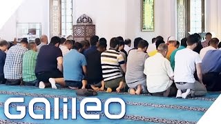 Wie verbringen Muslime den Ramadan in Deutschland  Galileo Lunch Break [upl. by Welles750]