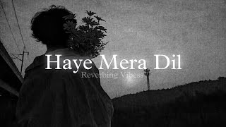 Haye Mera Dil Slowed  Reverb  Alfaaz Honey Singh [upl. by Uhn]