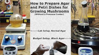 How to Prepare Agar and Petri Dishes No pressure cooker required [upl. by Pirri]