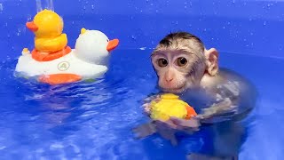 Monkey Puka swims freely in the bathtub looking so cute [upl. by Odella]