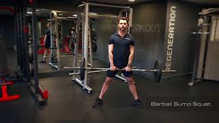 Barbell Squat Variations with Vinicius [upl. by Ley]