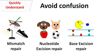 Avoid confusion between  Nucleotide Excision repair vs Base excision repair vs Mismatch repair [upl. by Dyob]