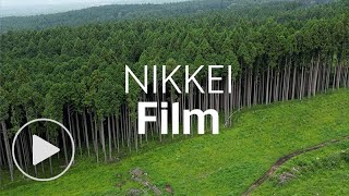 Five times stronger than steel Japans new wood  Nikkei Film [upl. by Underwood]