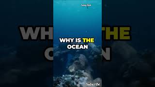 Why is the Ocean Hiding Secrets from Us scubadivers ghoststory scary deepseamysteries facts [upl. by Witcher796]