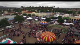 Strawberry Festival 2016 in 4K [upl. by Nnylrahc155]