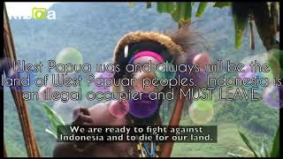 TPNPBOPM is the last defense of West Papuan peoples [upl. by Enitsirk]