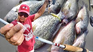 Catch 10X MORE Crappie With Jigs [upl. by Nesila]