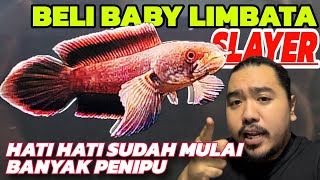 BABYMONSTER ⁉️AKHIRNYA PUNYA LIMBATA SLAYER ‼️ [upl. by Lethia]