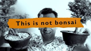 The problem with bonsai videos [upl. by Ocker]