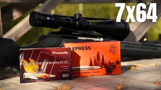 7x64 Hornady Super Performance VS Geco Express AMMO TEST [upl. by Ostraw65]