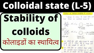 L5 colloidal state bsc 1st year physical chemistry stability of colloids in hindi knowledge adda [upl. by Lois675]