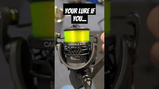 Your lure if you viralshorts viralvideo fishing [upl. by Amoihc]