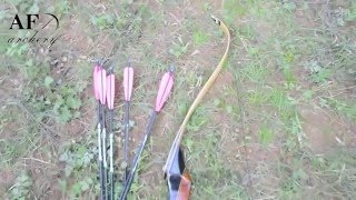 AF Archery takedown recurve bow shooting [upl. by Redla]