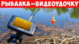 РЫБАЛКА на КАРАСЯ с ВИДЕОУДОЧКОЙ  Серия 3 [upl. by Atorod]