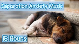 15 HOURS of Deep Separation Anxiety Music for Dog Relaxation Helped 4 Million Dogs Worldwide NEW [upl. by Enohs]