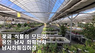 남동패밀리46화 꽃과 식물의 모든것 용인 남사 화훼단지 남사화훼집하장 Yongin Namsa Flower Complex Namsa Flower House [upl. by Annaeel]