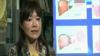 Research on sea polyphenol seanol Osaka City University [upl. by Novyak]