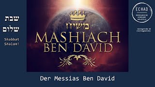 Mashiach Ben David [upl. by Nylecsoj]