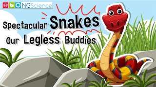 Spectacular Snakes – Our Legless Buddies [upl. by Nirok]