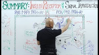 Insulin Signal Transduction Pathway👨‍⚕️ [upl. by Trish284]