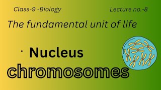 Nucleus and chromosomes science [upl. by Olracnaig]