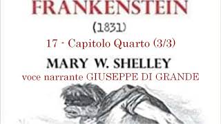 Mary Shelley  Frankenstein  17 Capitolo Quarto  33 Audiolibro [upl. by Harriet]