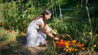 Autoproduzione Passata di Pomodoro per lInverno  Vita Quotidiana in Appennino Ricordo 33 [upl. by Patsy]