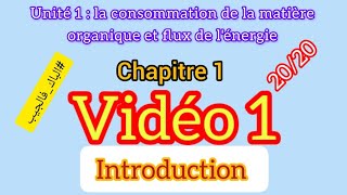 La consommation de la matière organique et le flux d’énergie [upl. by Orland]